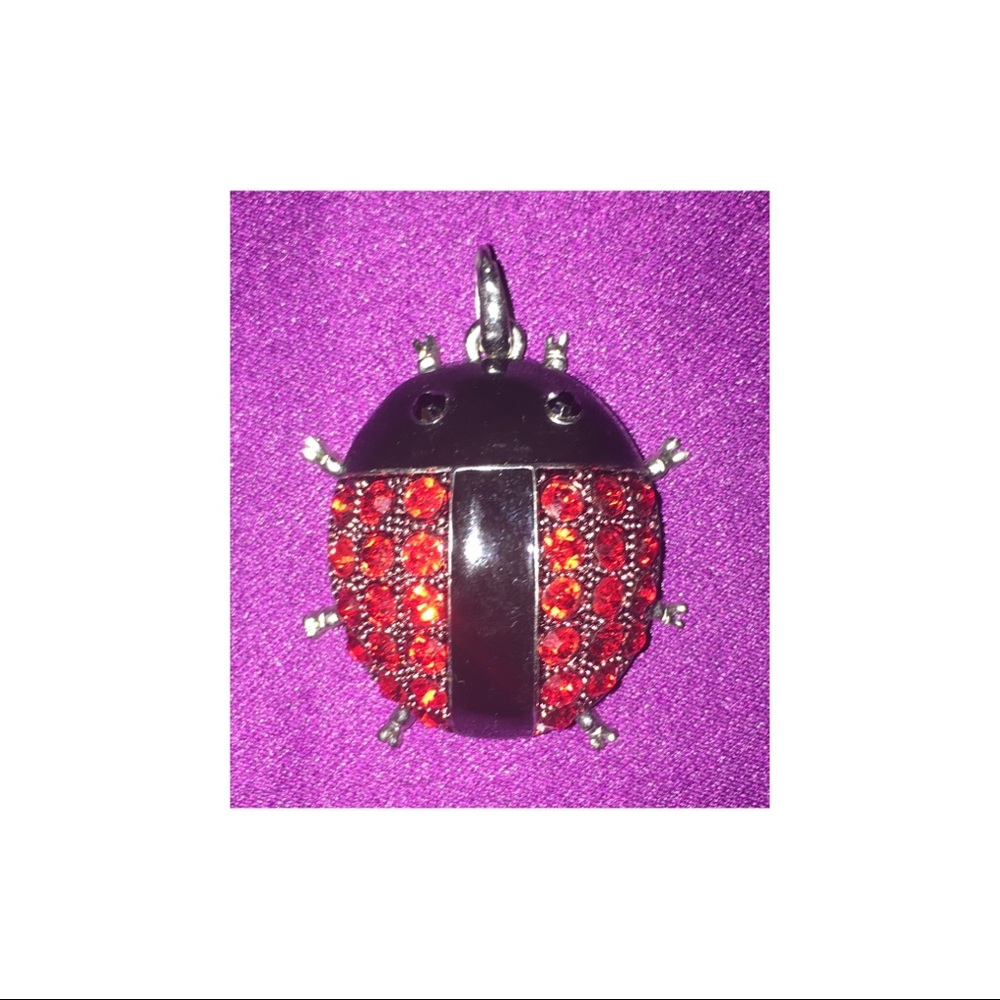 Adorable 🐞 LadyBug RED RHINESTONES Pendant